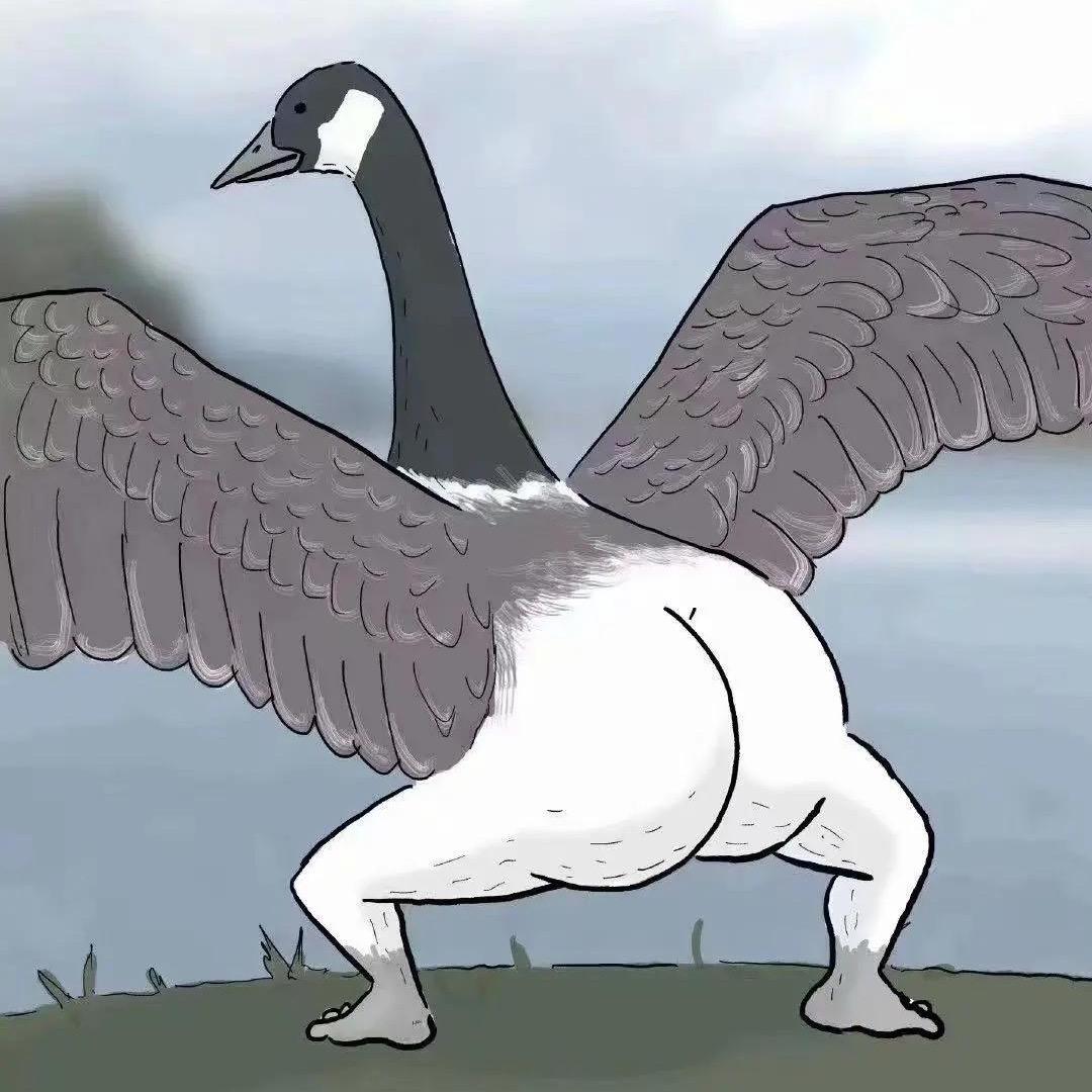 大鸡大梨大篱笆
