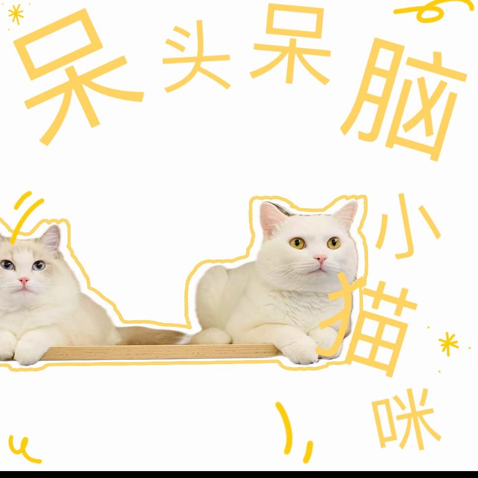七喜&八月