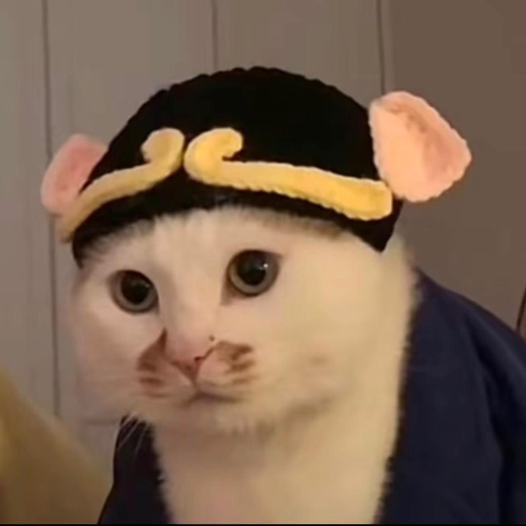 小白-