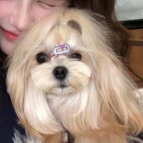 🫧