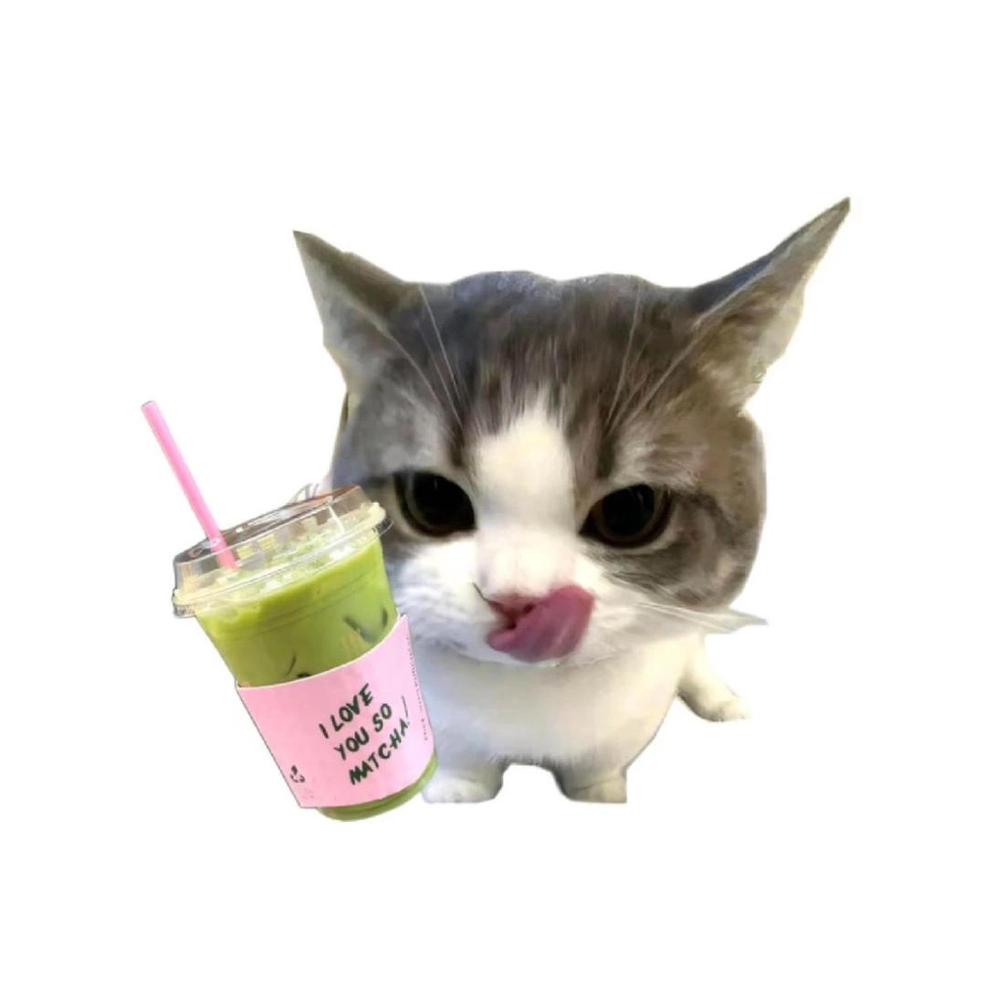 ᵕ̈ S᳐oprano᳐ᓗ