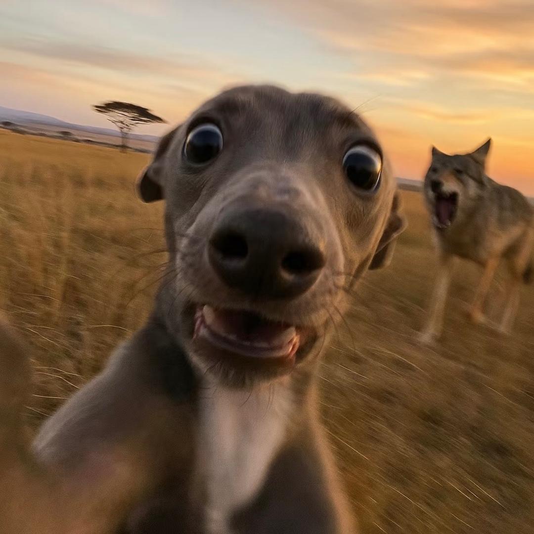 hzzzz