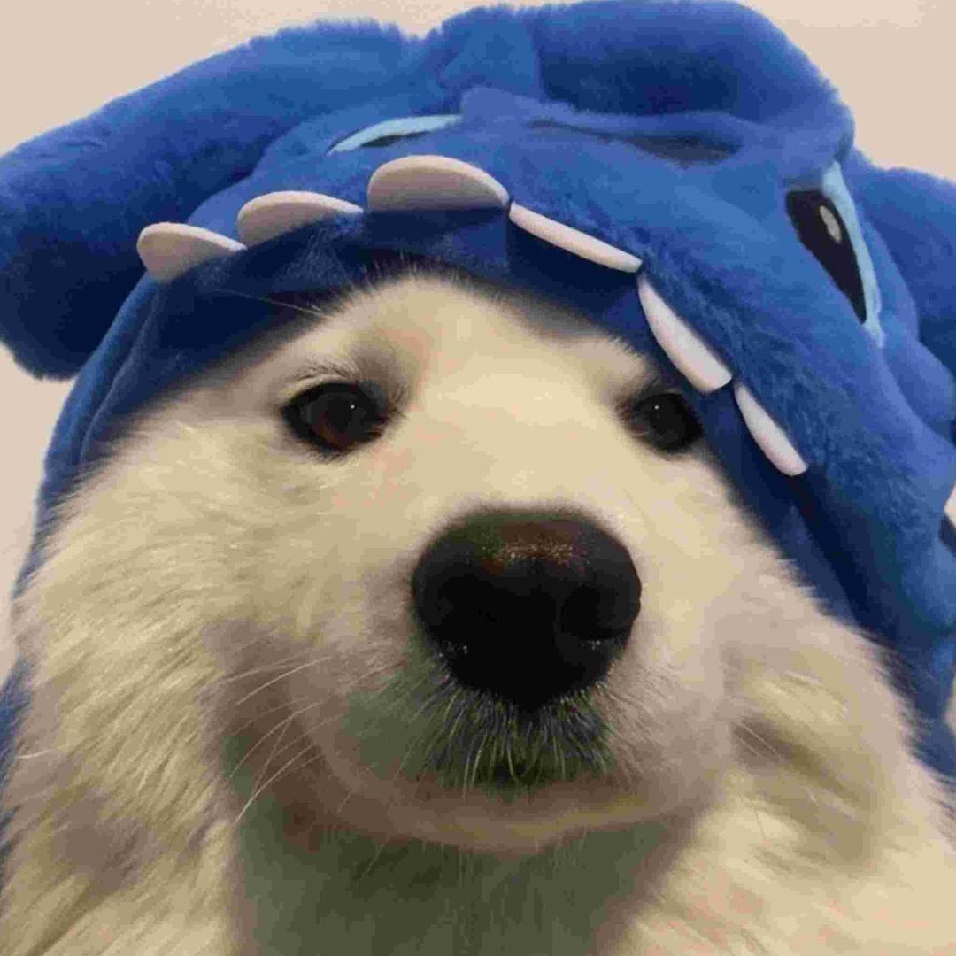 小赵日记