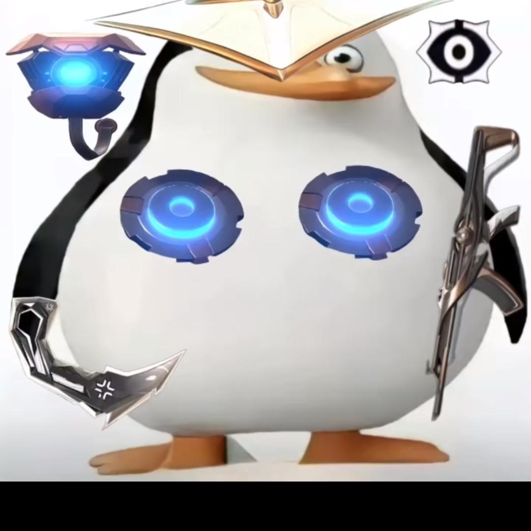 Yjj