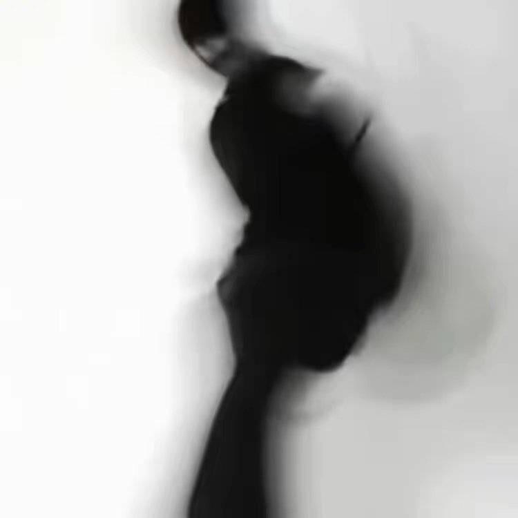 忧郁的世纪大盗