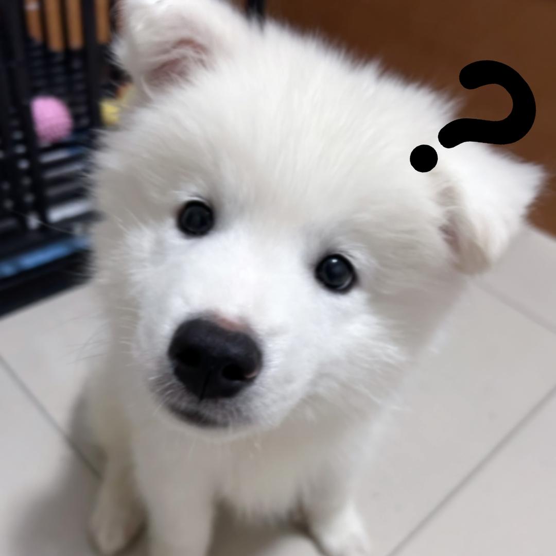 农村女孩在美国🇺🇸