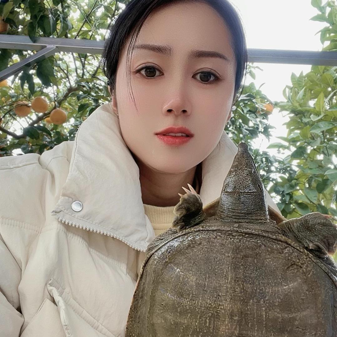 甲鱼来了