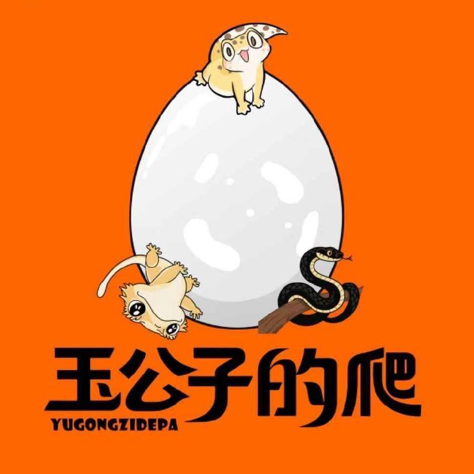 玉公子爬宠工作室