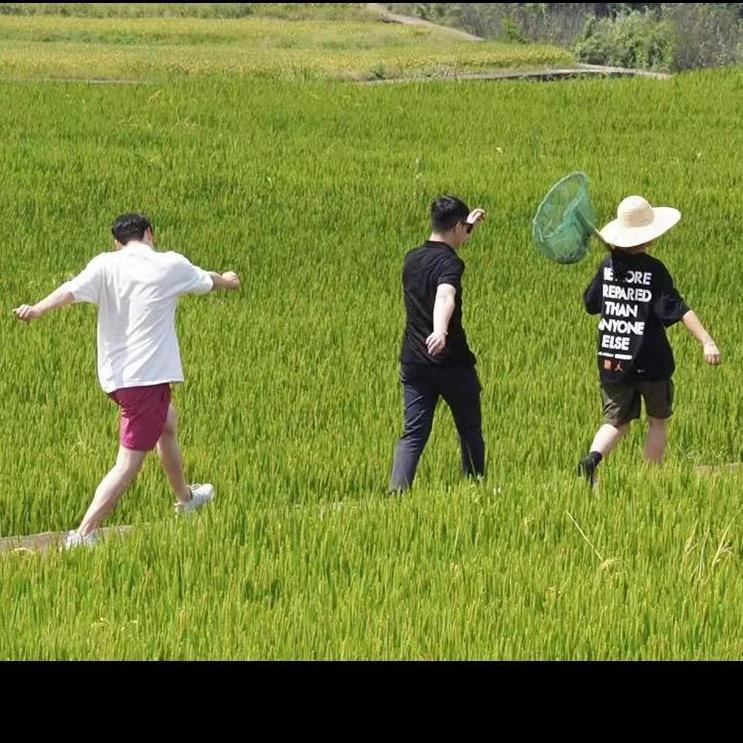 周末食堂