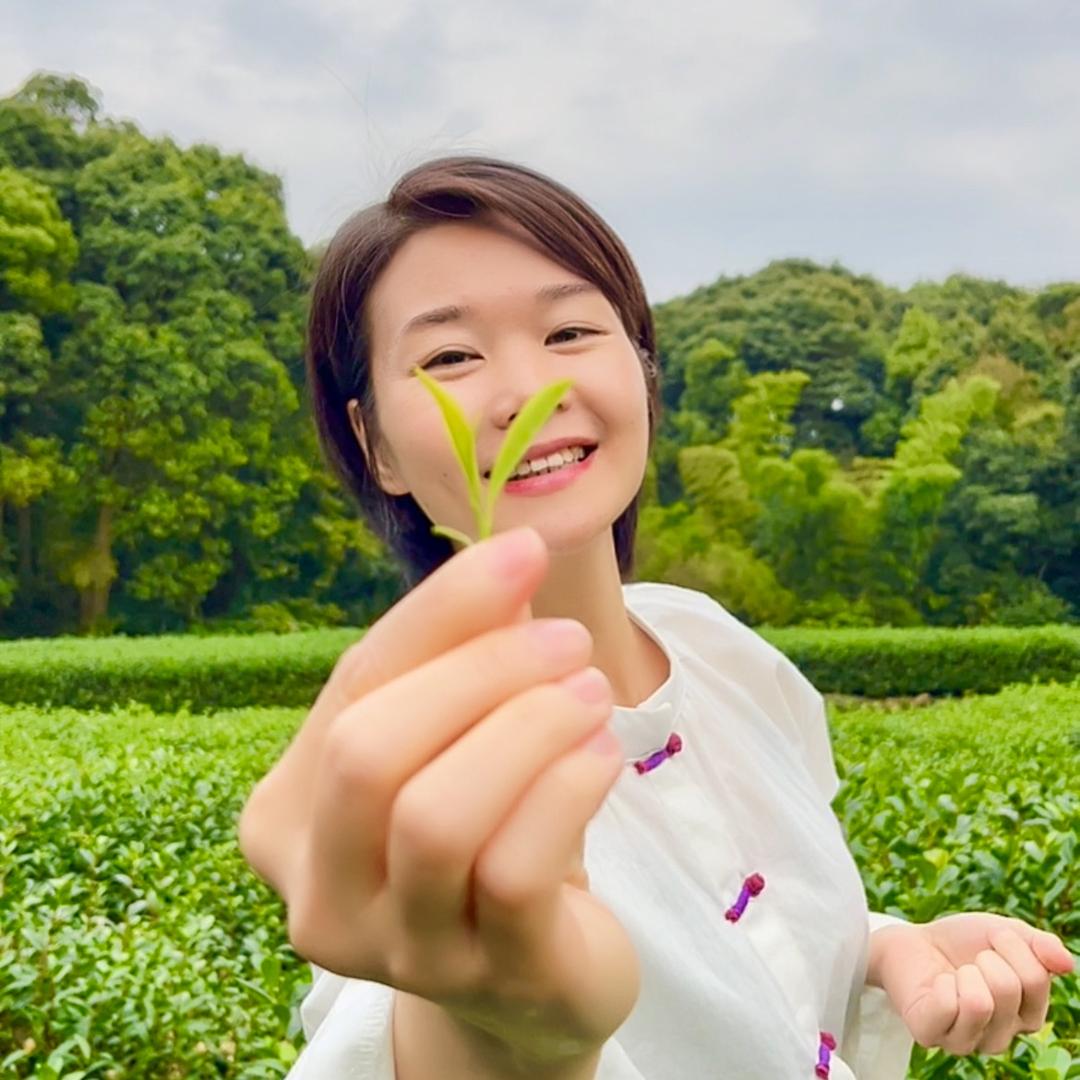 父亲的茶（金峰茶叶）