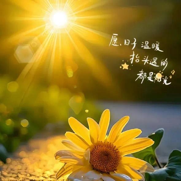 贵州阿姐带你赶场