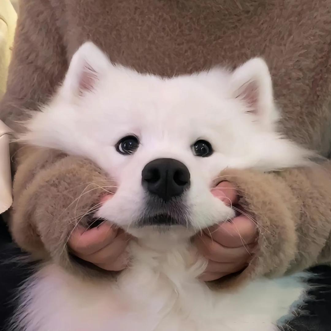 tt自然醒
