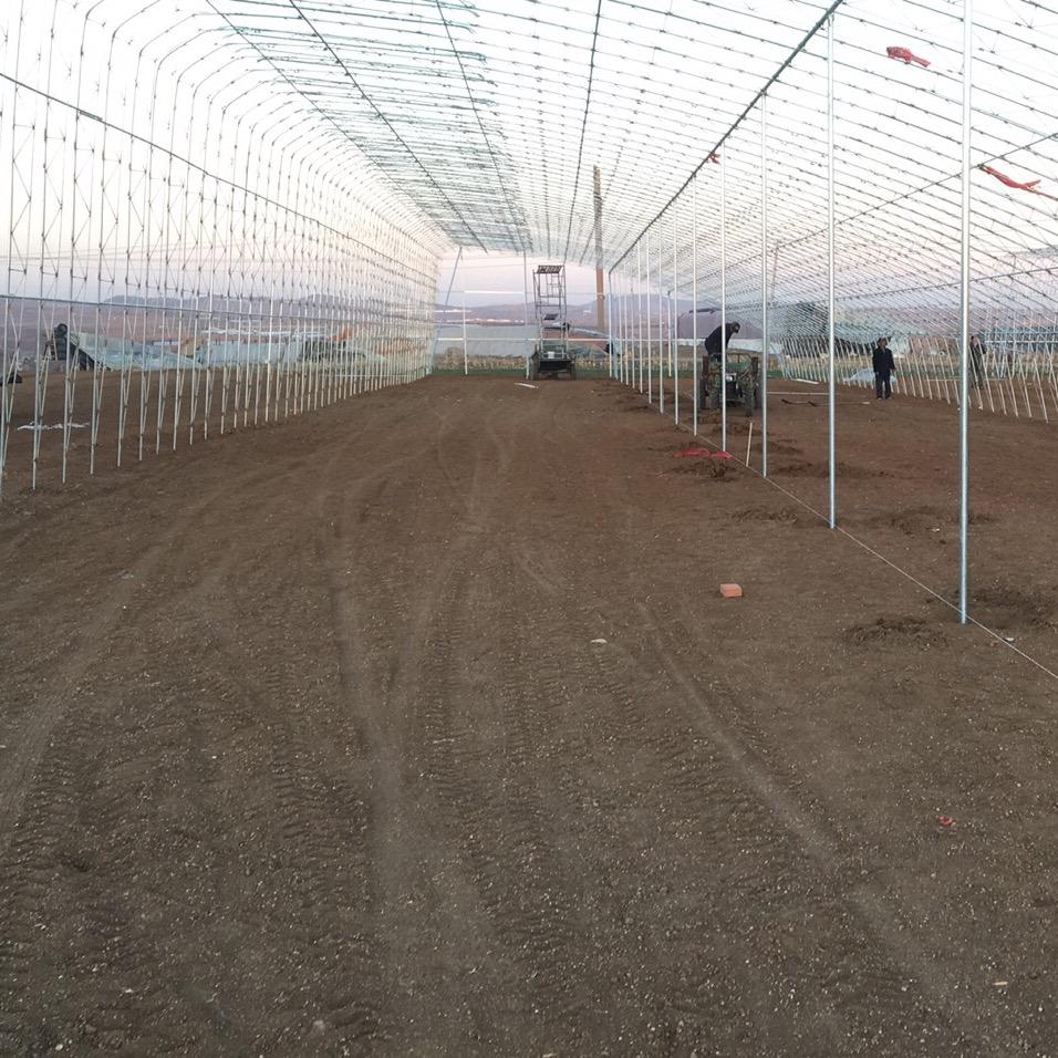 莱阳建大棚-李福鹏