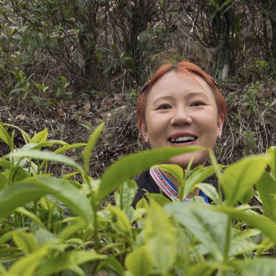 麻栗坡娟姐好茶