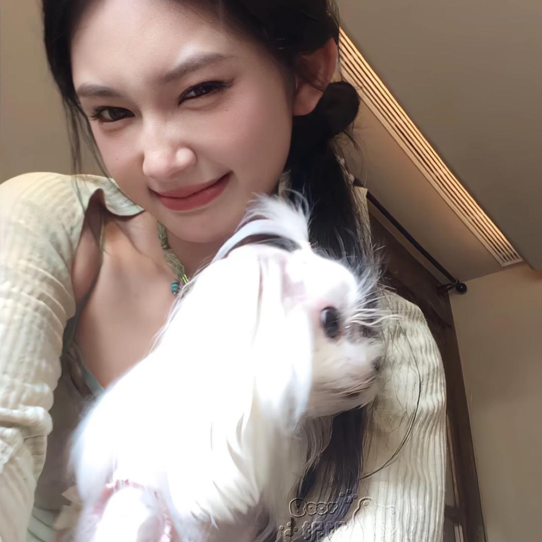 DingXinlei·