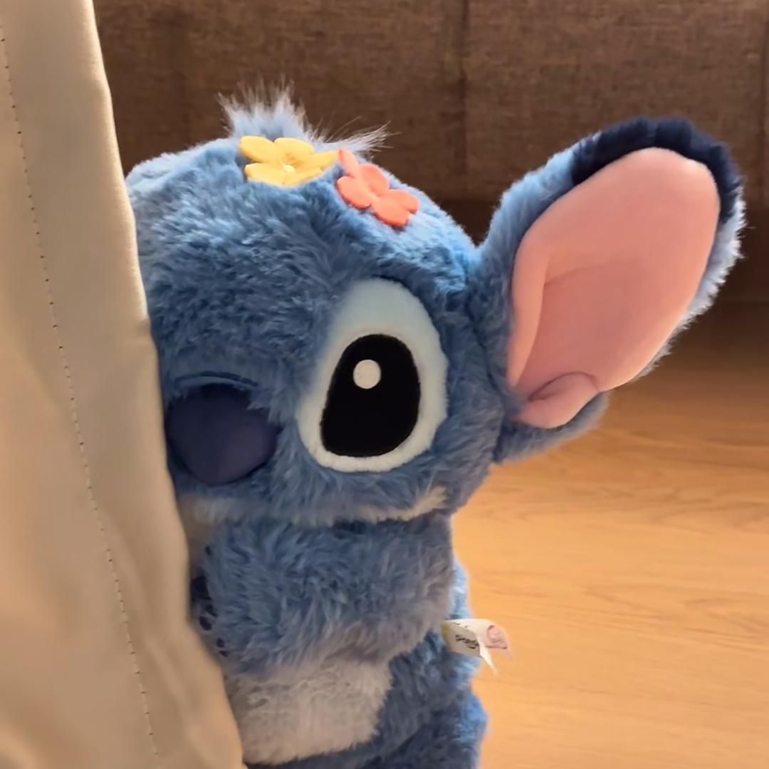 我草莓招了（圣经）