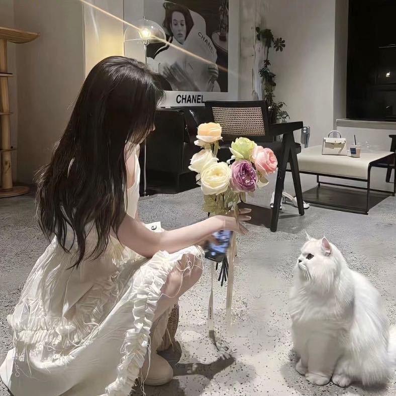 小帅💫