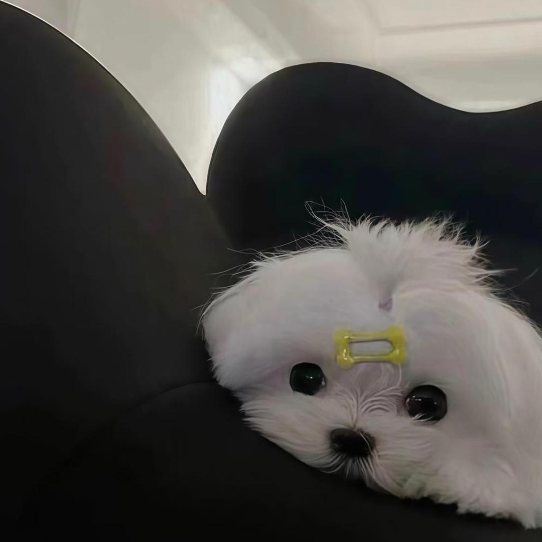 不如不见面