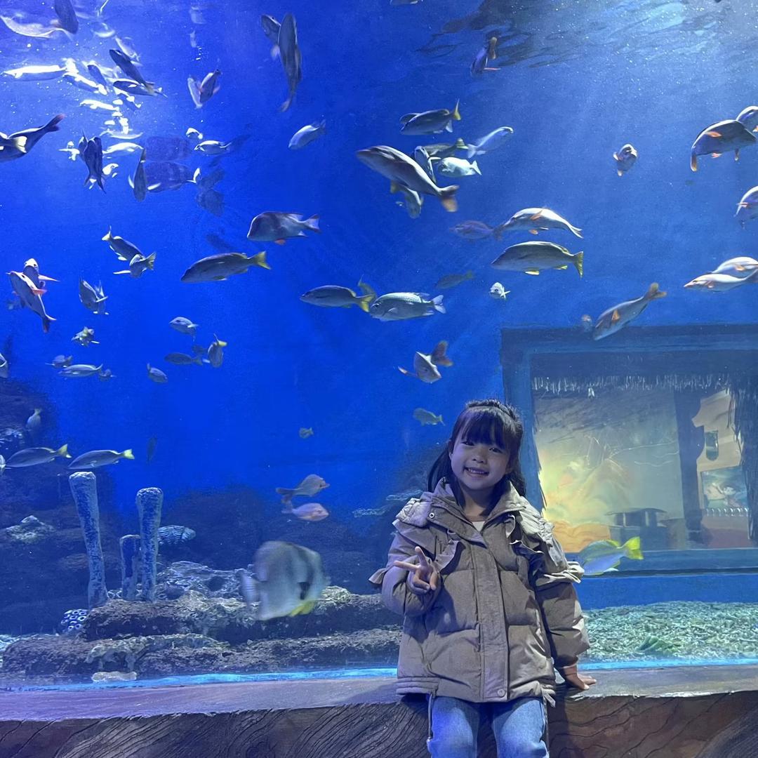 安宁麒麟瓜（小陈）