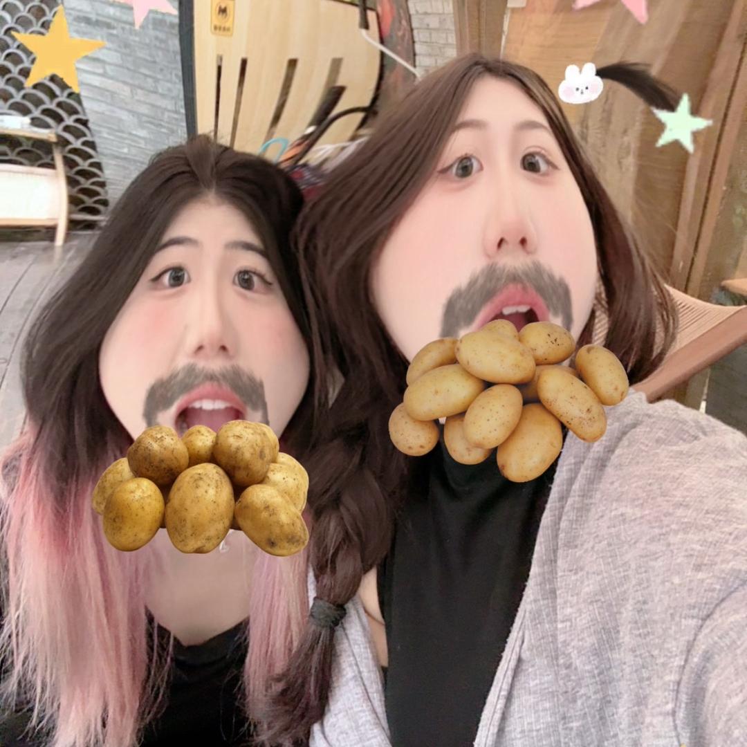 洋芋🥔土豆.