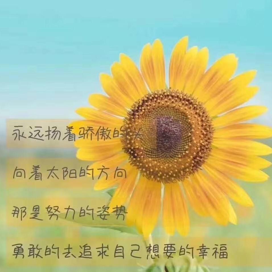 琼