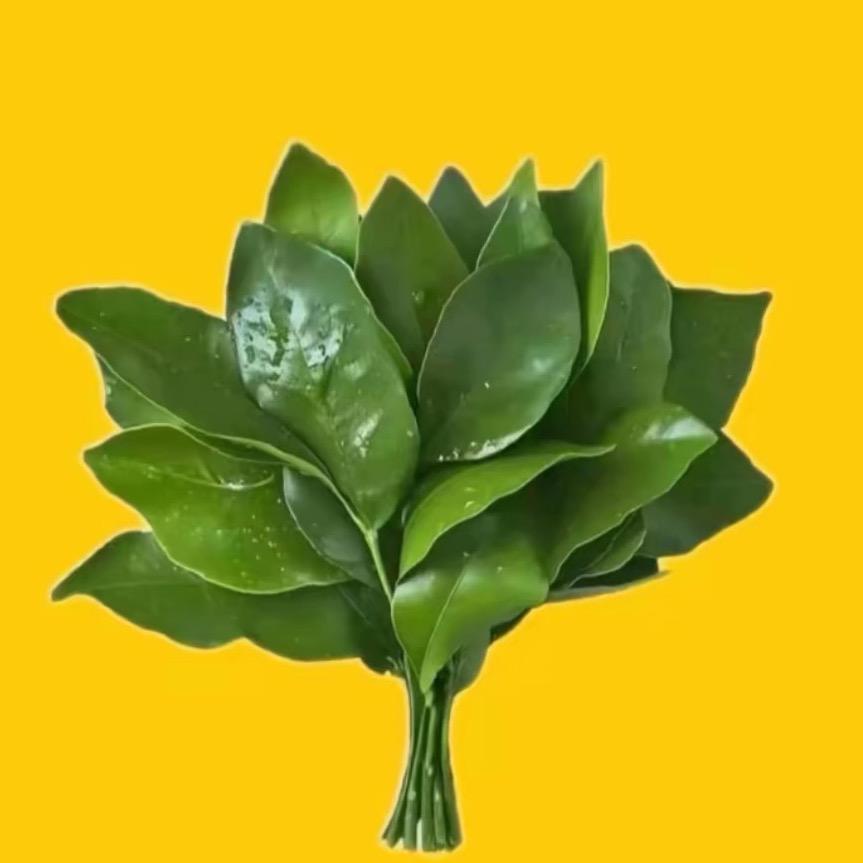 二喜