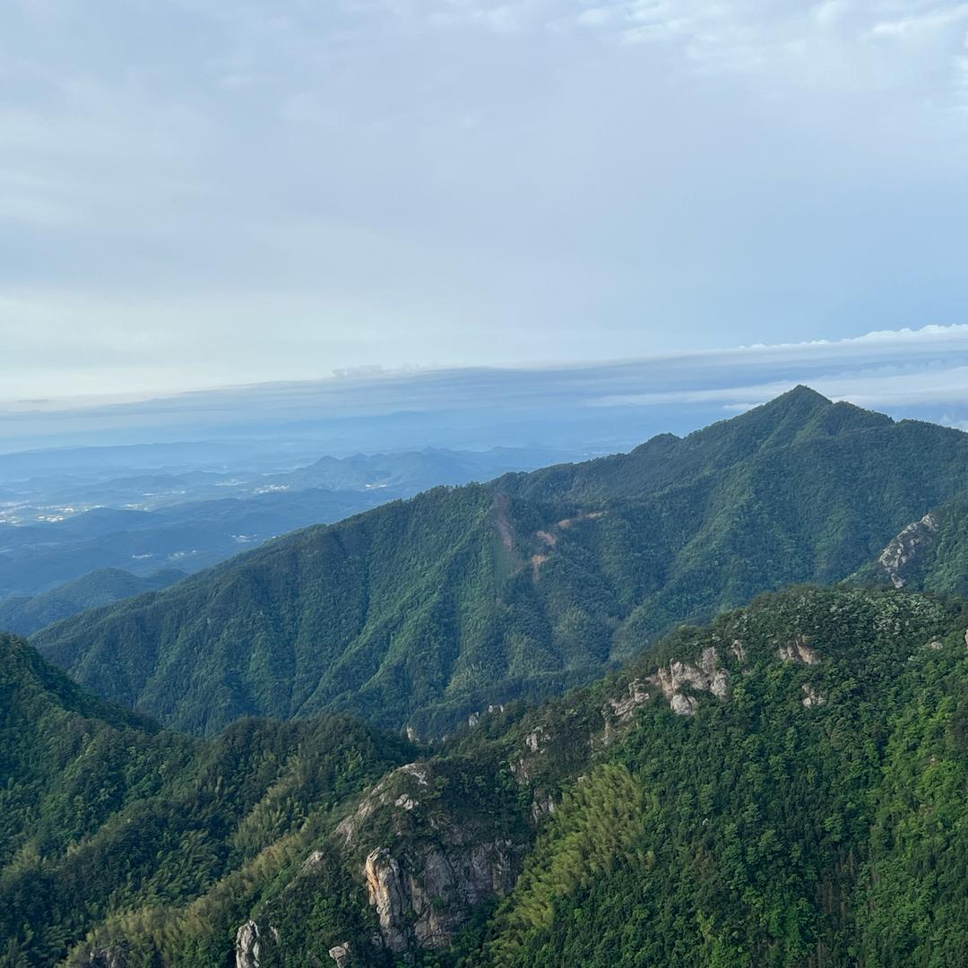 土拨鼠