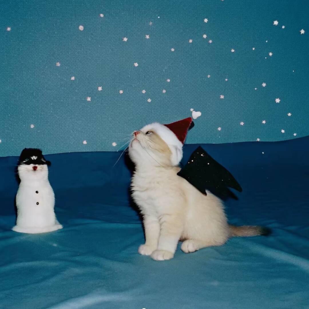 我是三金(づ ●─● )づ