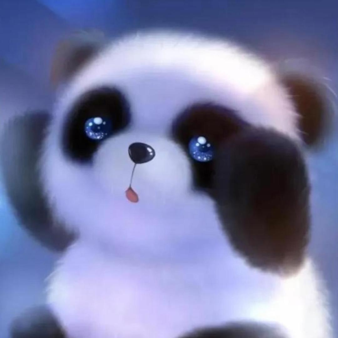 无所谓🫤