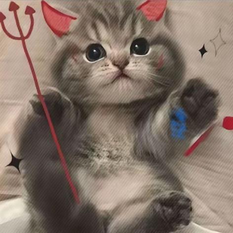 唐啵虎虎虎虎虎🐯