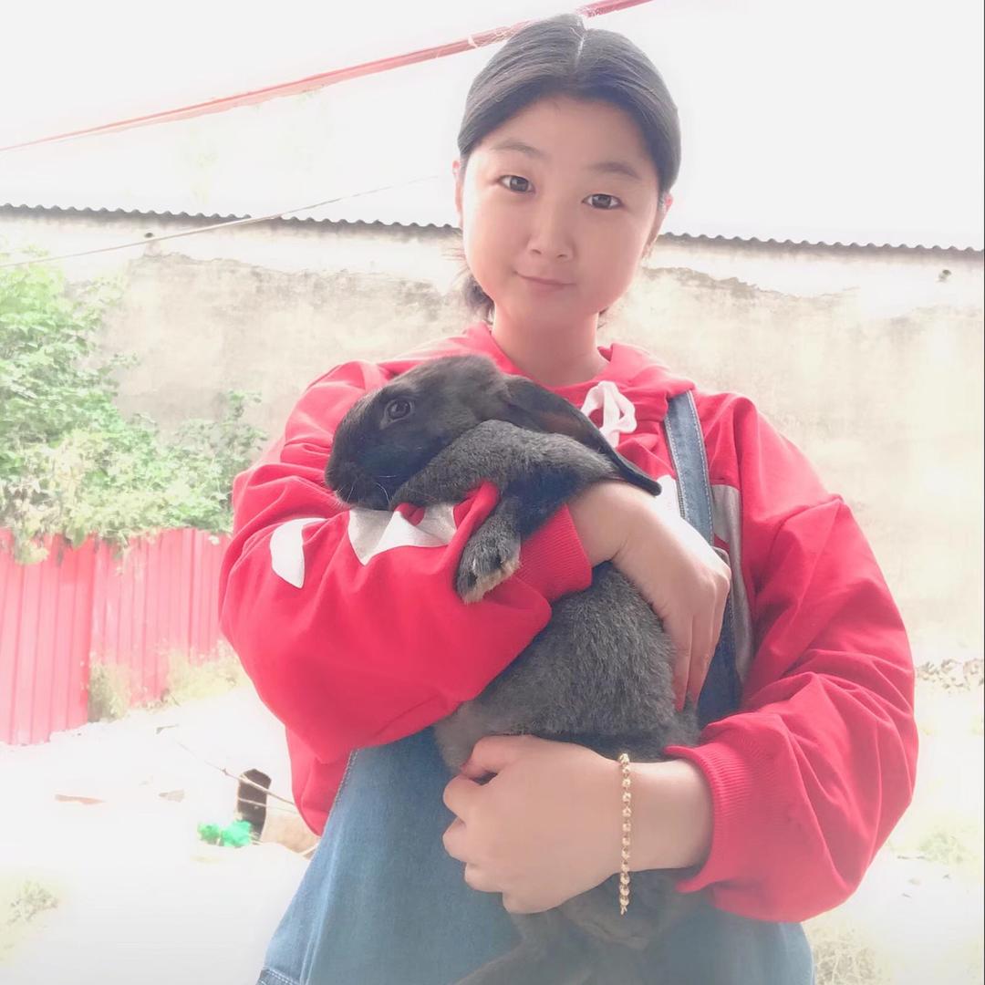 1306122446