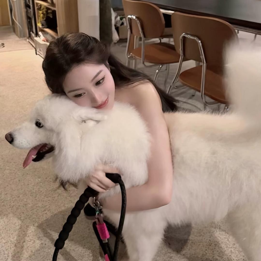 瞌睡虫
