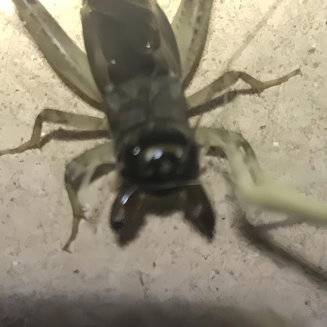 秋天的味道