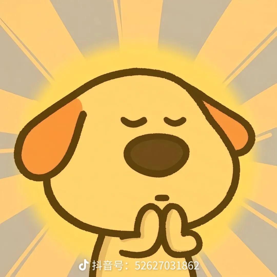 菜包爱玩