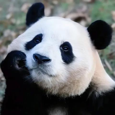 轻舟已过