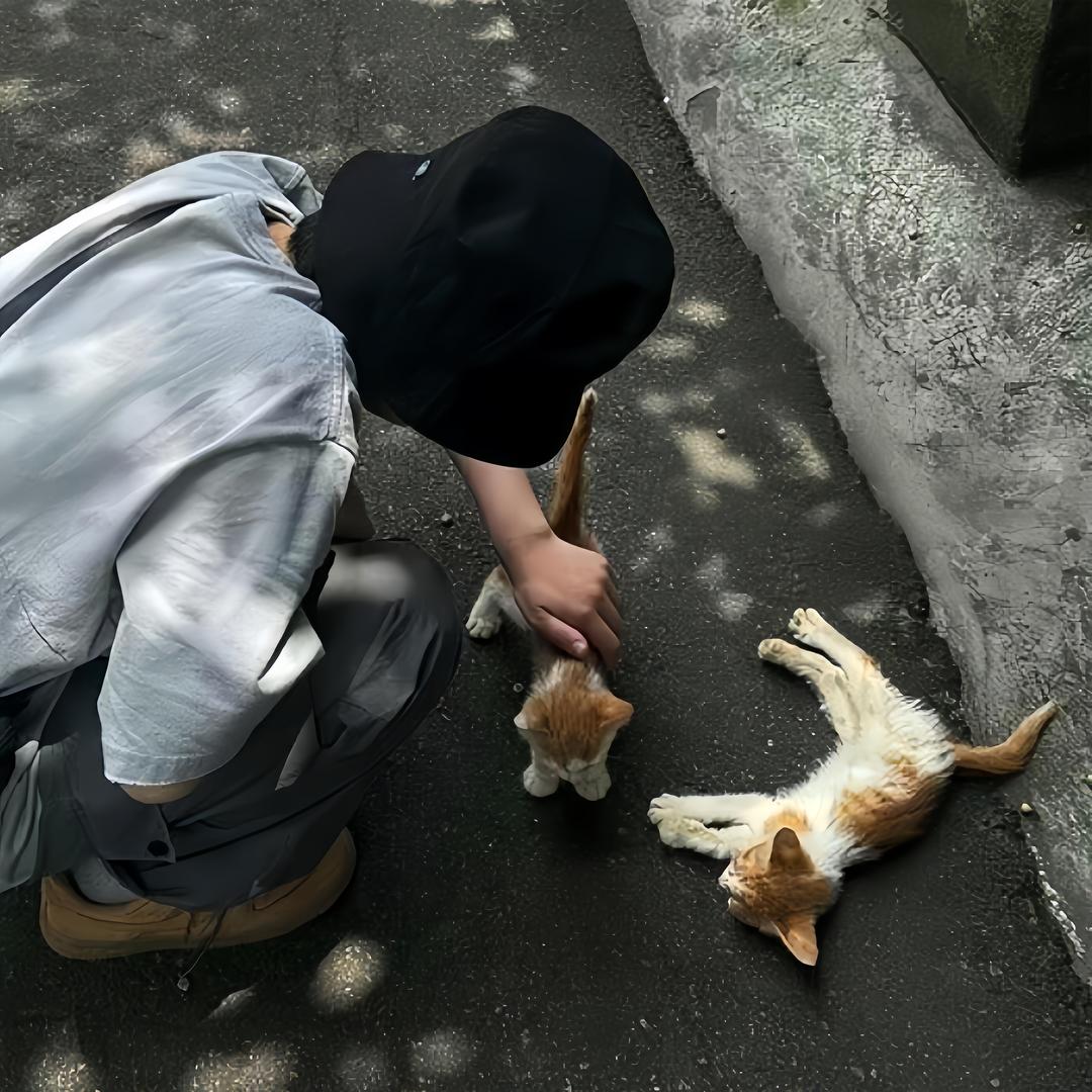 秋北