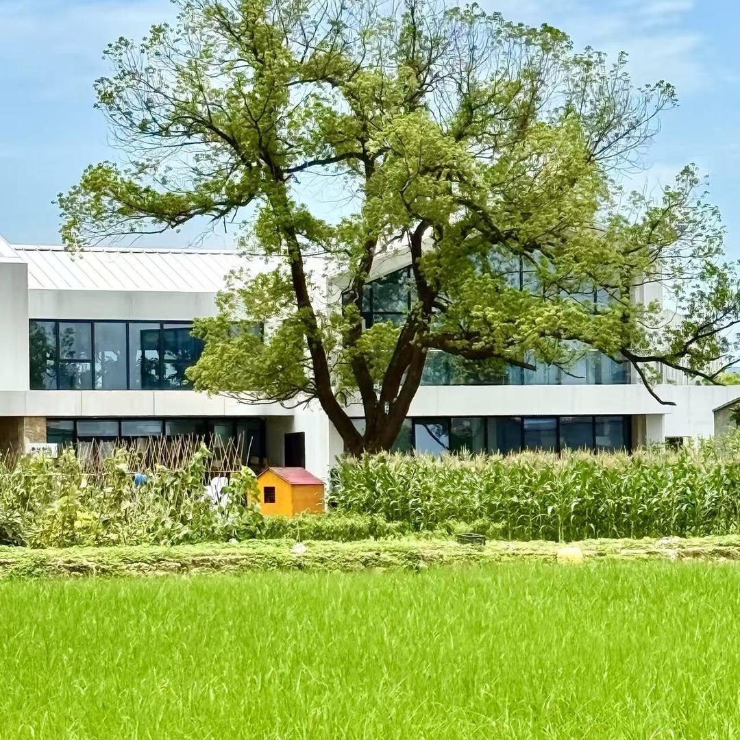 🌾【天天开心】（见过十勤版）