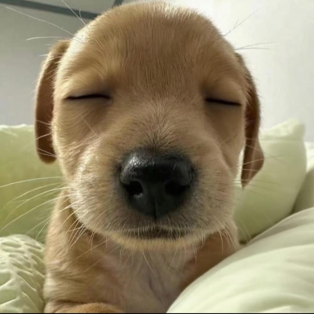 不要熬夜好不好