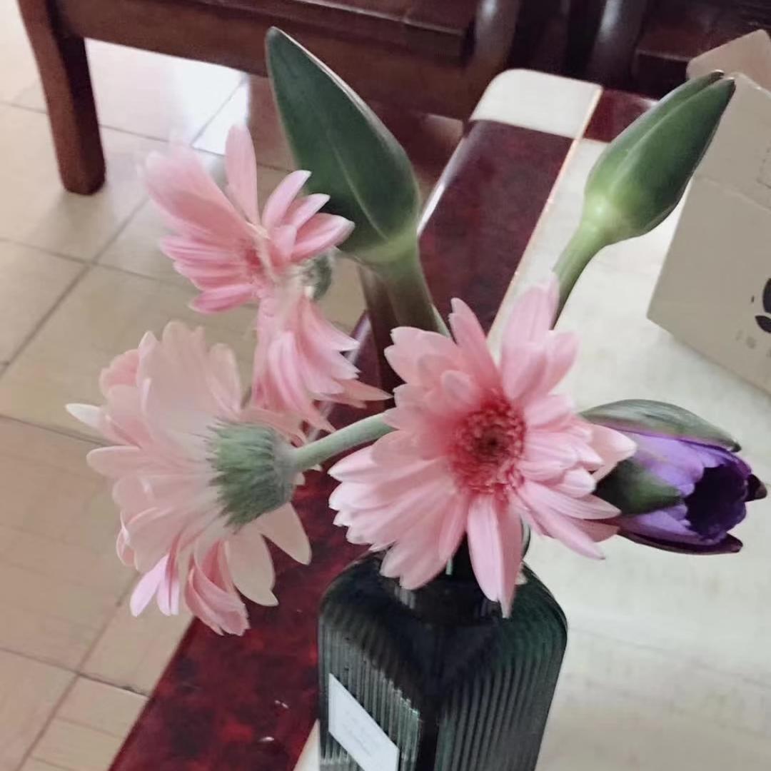心语