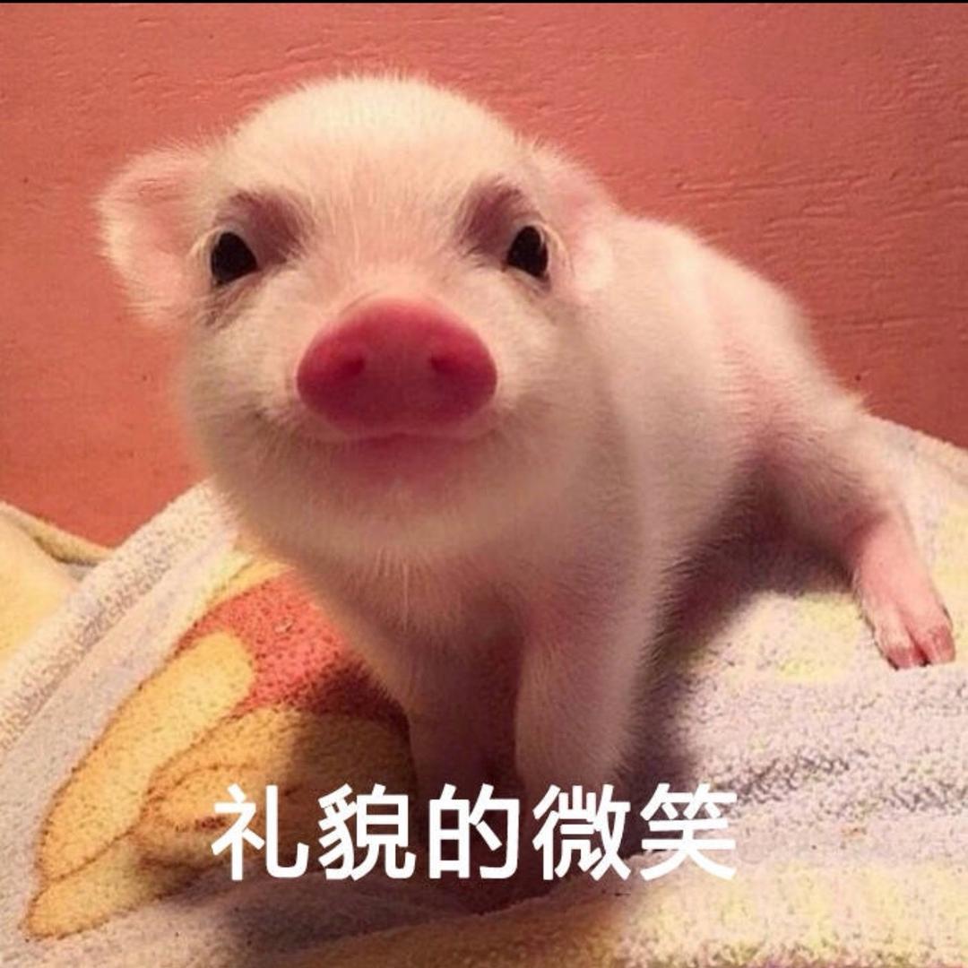 猪猪的宝藏小铺👑