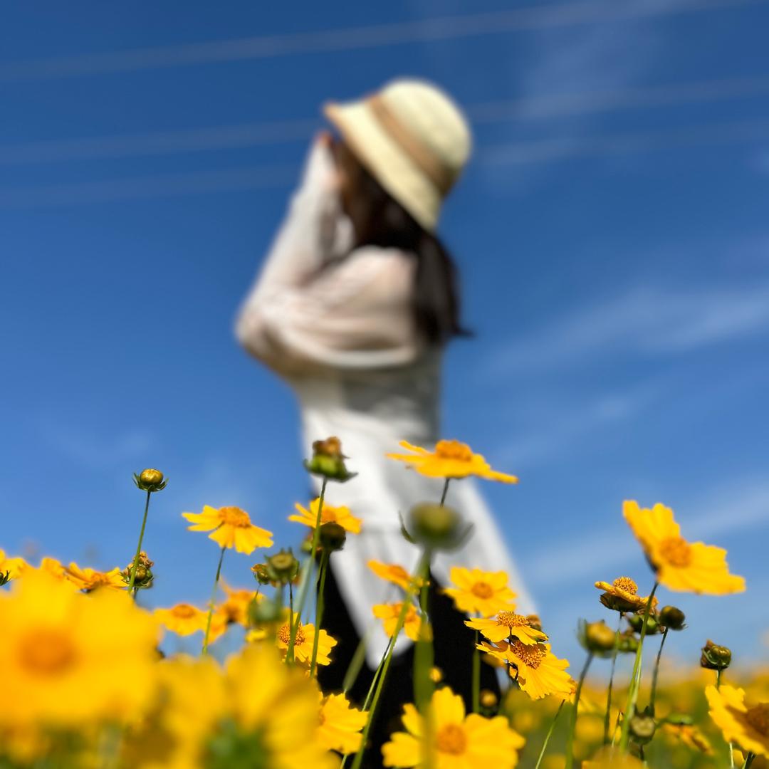 潇潇