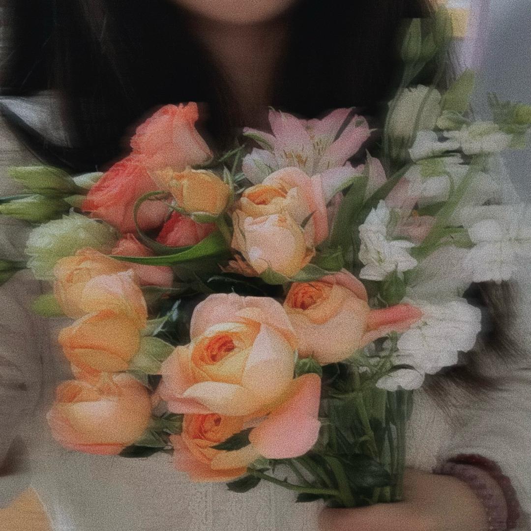 水母。