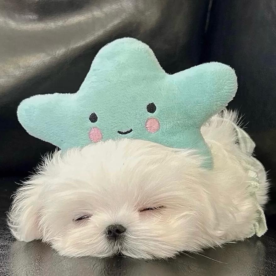 寒