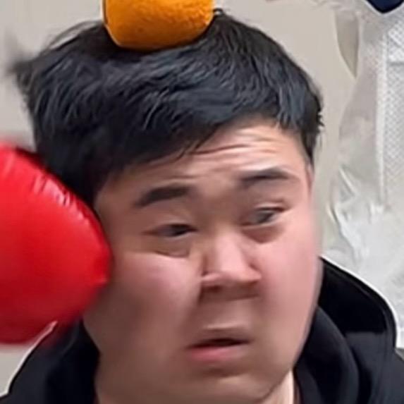 白鸽🕊