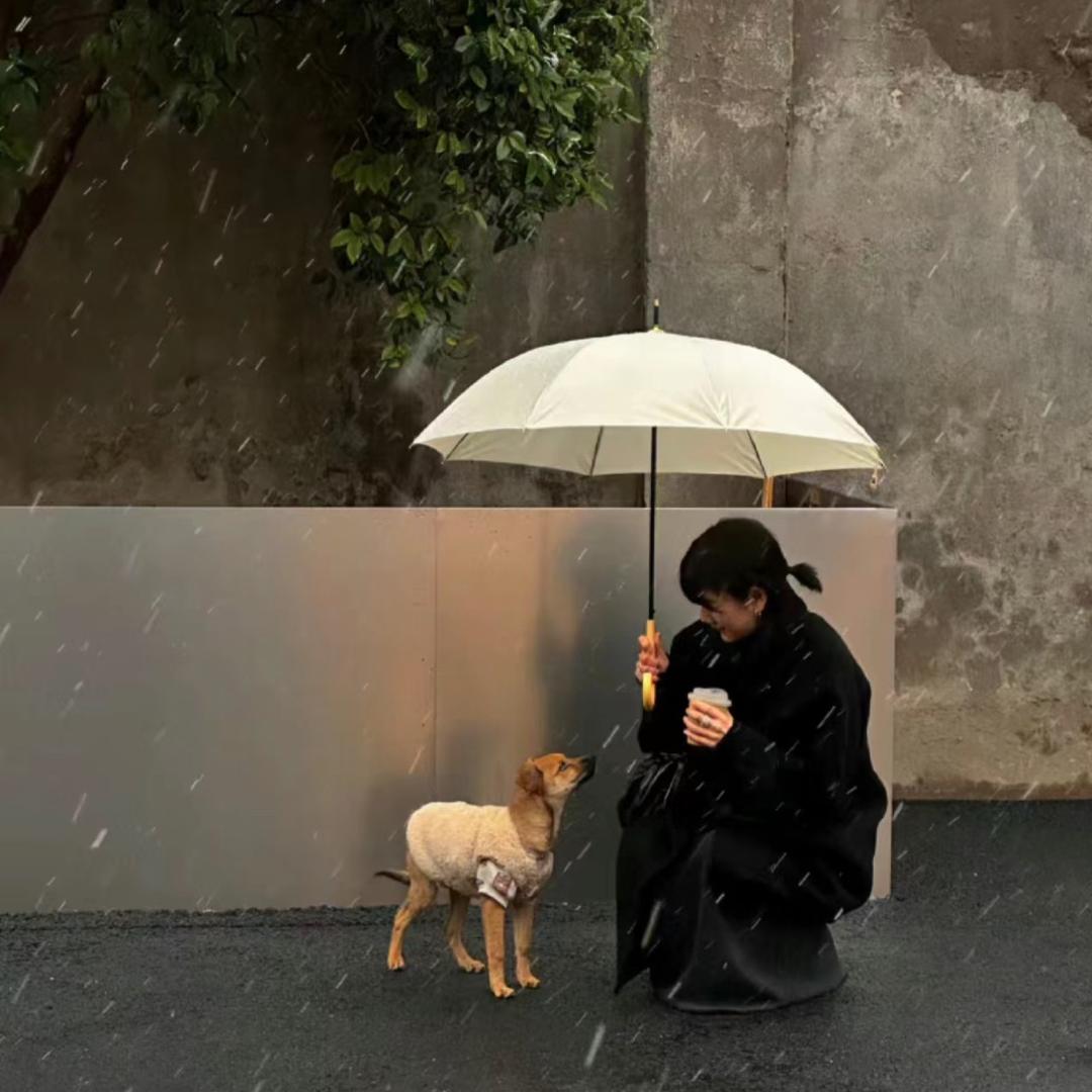 云朵拿铁☕️