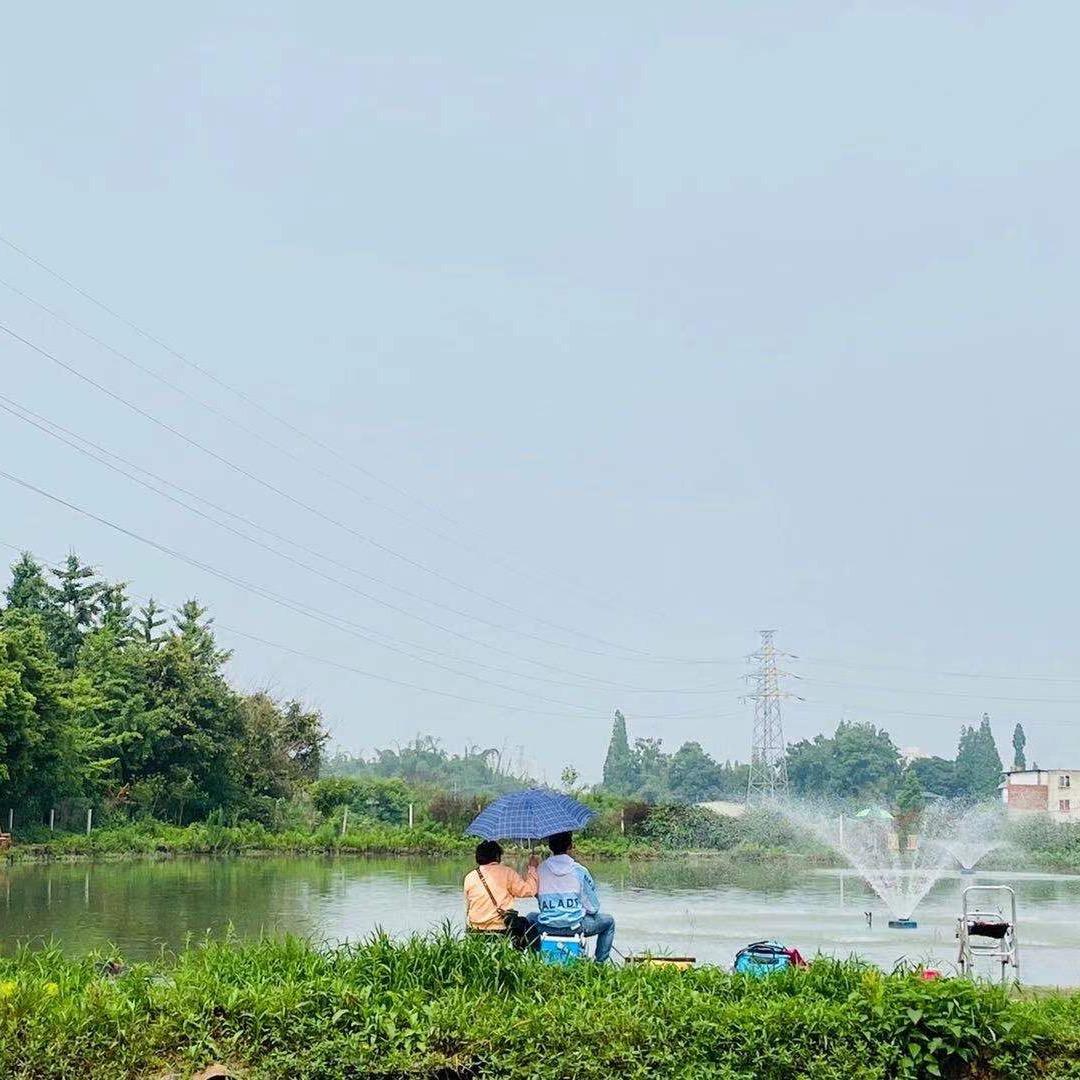 橙橙的野塘子。