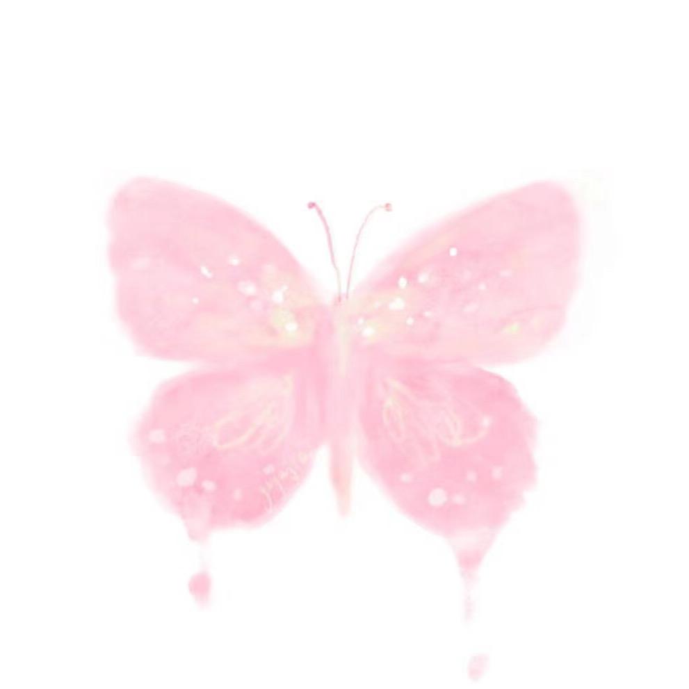 静静🦋