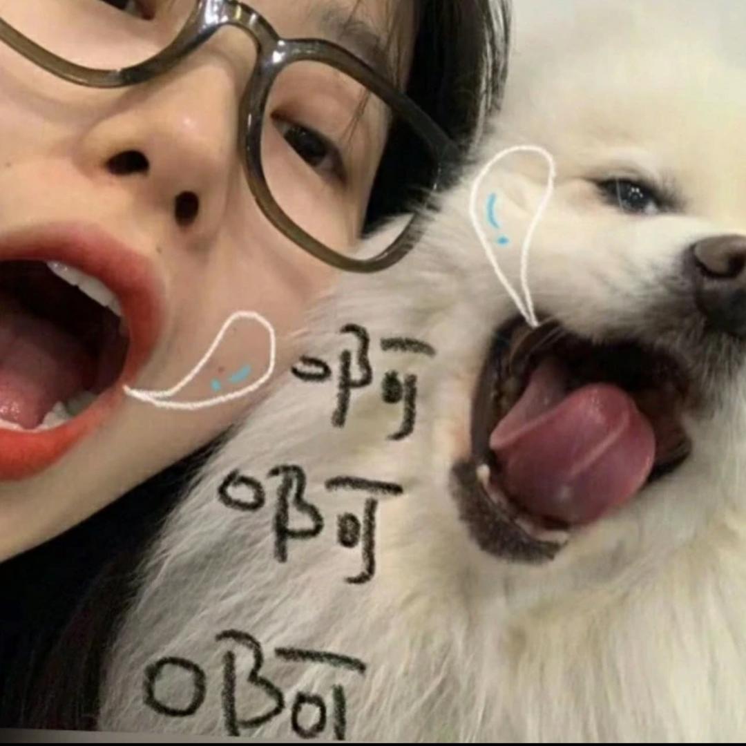 熊🐻熊熊