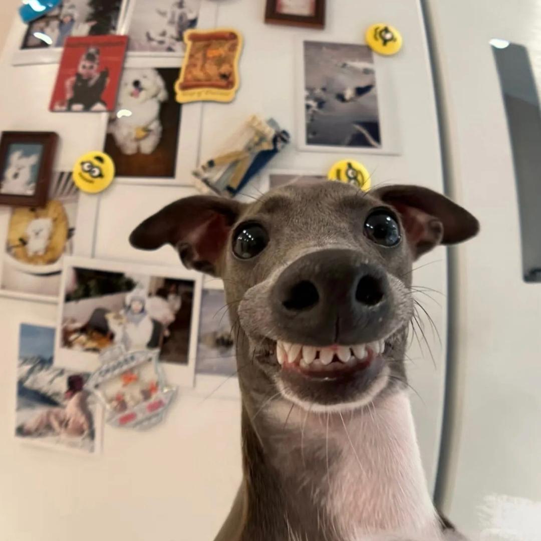 ¥¥