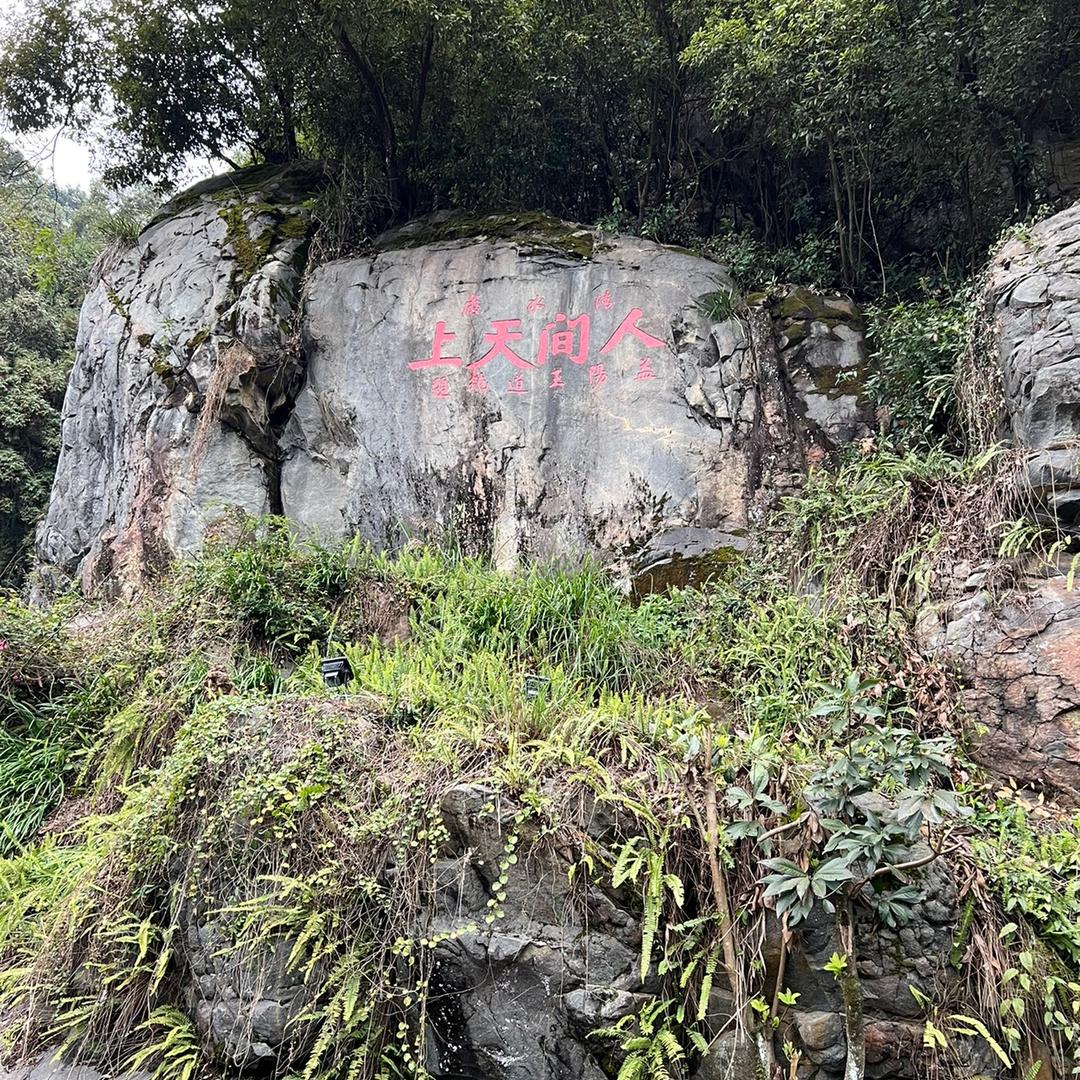冬哥~